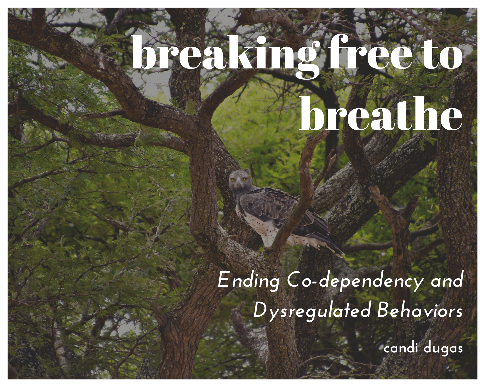 resources for codependence and dysregulated behavior